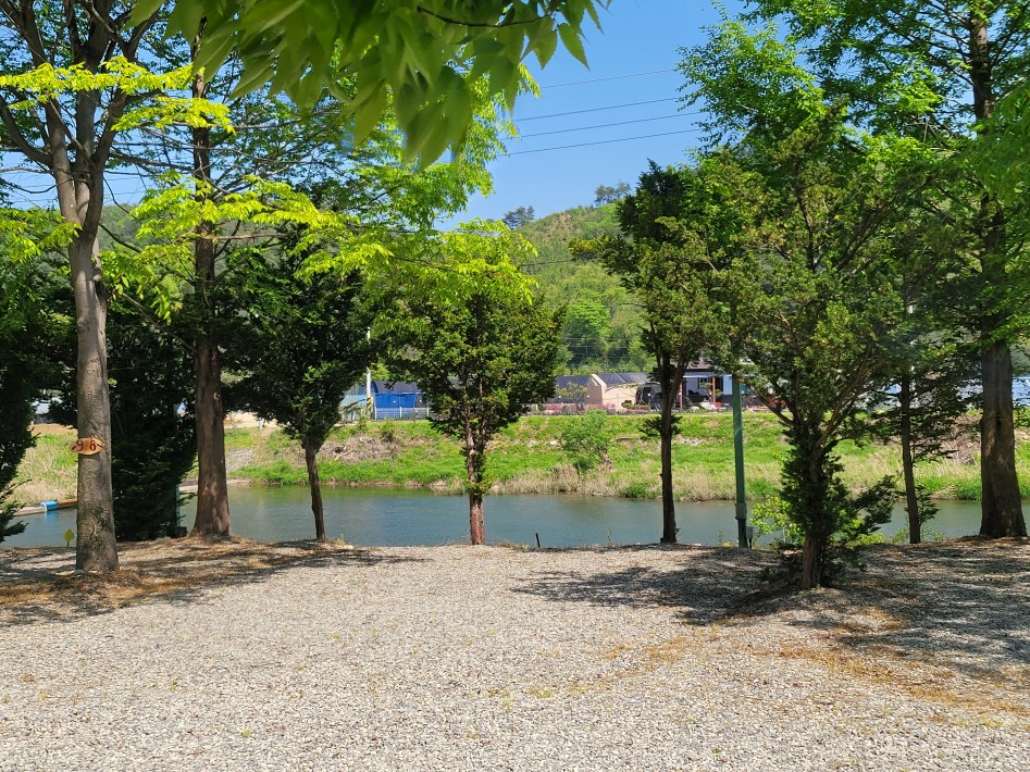오토캠핑장 8번