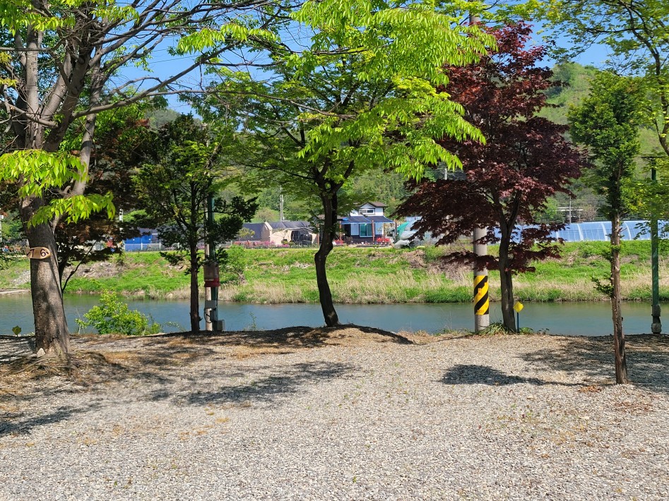 오토캠핑장 6번