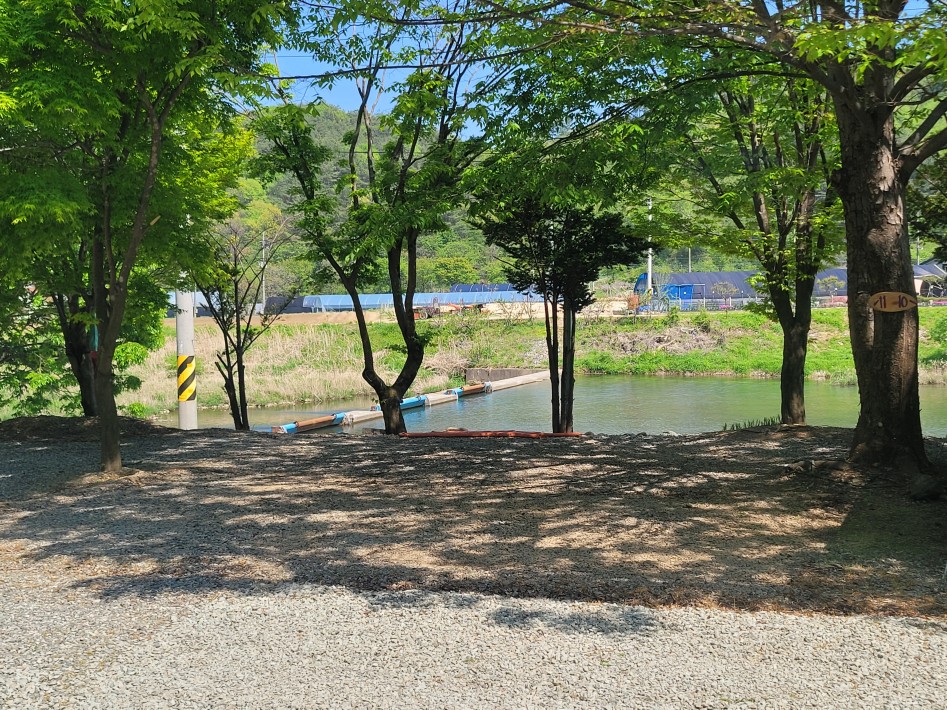 오토캠핑장 11번